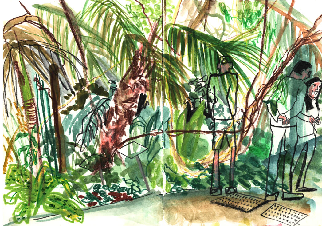 Botantical garden - Poznan